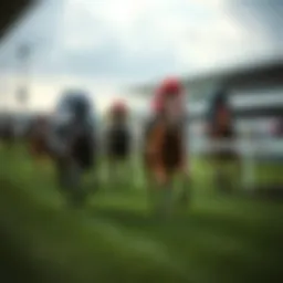 Thrilling horse race at the track