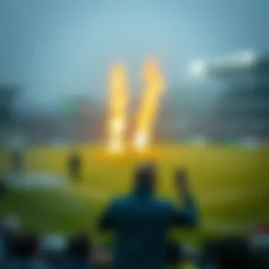 Magnificent 미국 파워볼 실시간 정보 탐색
