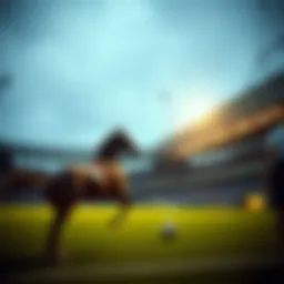 오늘 행운의 숫자 탐구 Introduction