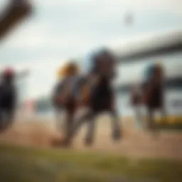 Thoroughbred racing horse sprinting